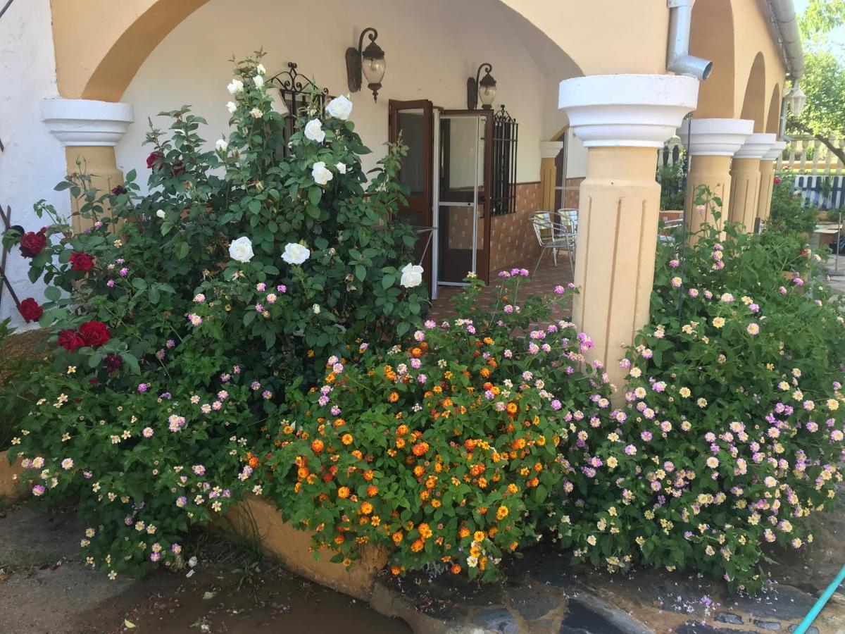 Holiday home La Rosalia Setenil De Las Bodegas